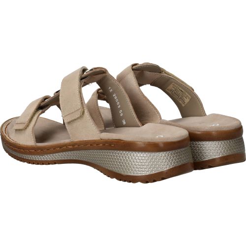 Durlinger Ara Hawaii 2.0