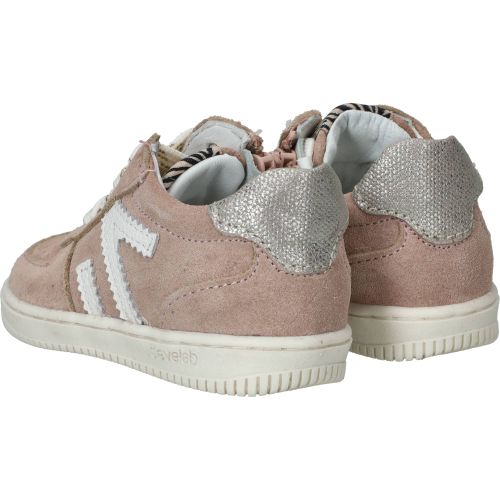 Durlinger Develab FirstStep