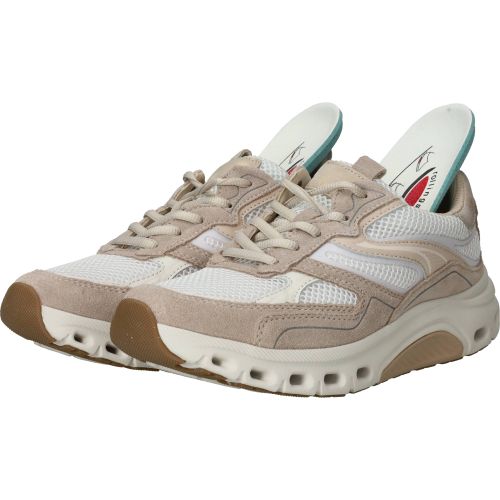 Durlinger Gabor Rollingsoft