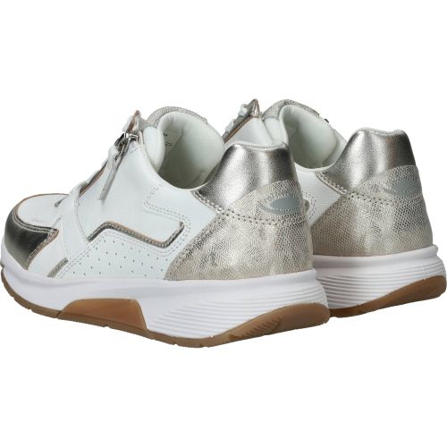 Durlinger Gabor Rollingsoft