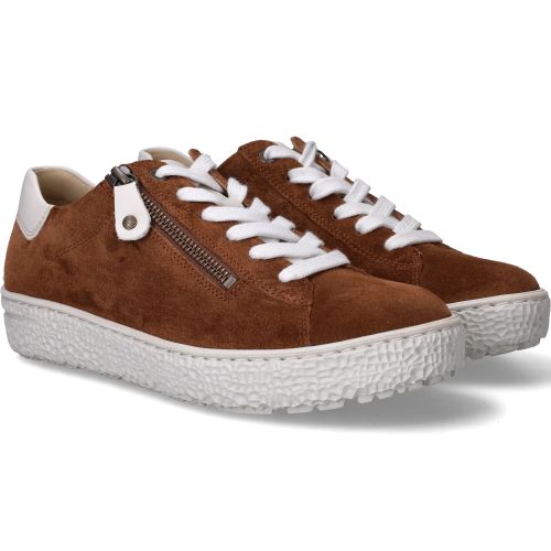 Durlinger Hartjes Phil