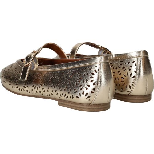 Durlinger MARCO TOZZI