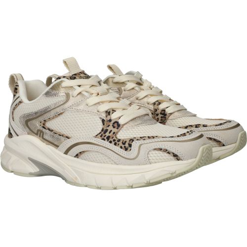 Durlinger Maruti Novi