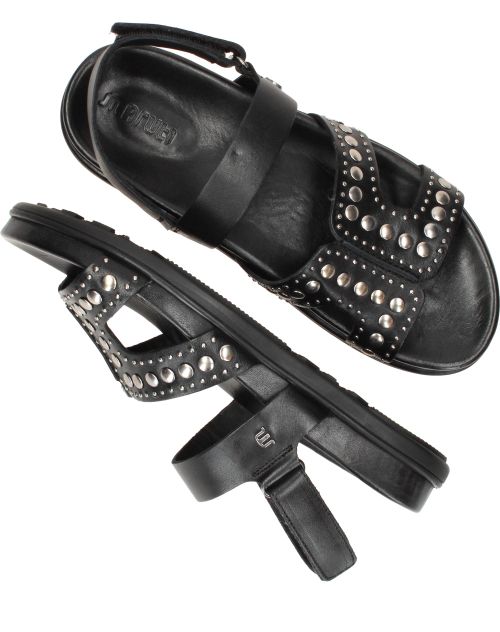 Durlinger Maruti Elora