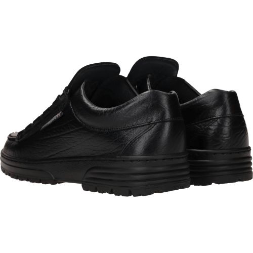 Durlinger Mephisto cruiser