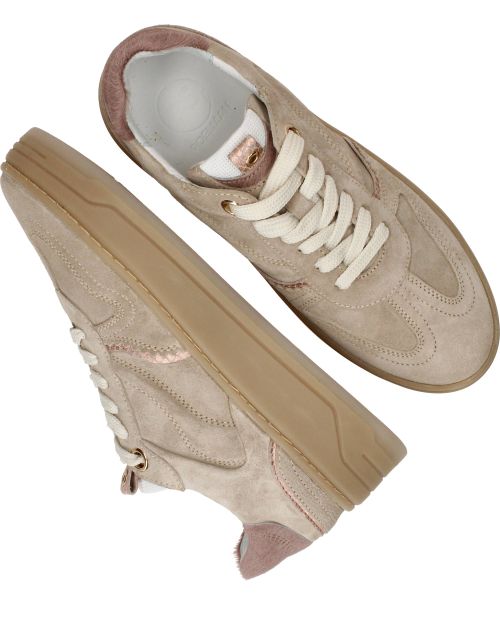 Durlinger PS Poelman