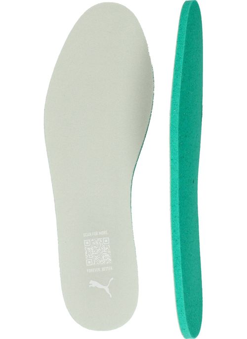 Durlinger Puma Karmen II