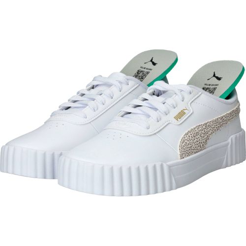 Durlinger Puma Carina 3.0 Topcat