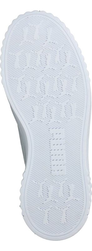 Durlinger Puma Carina 3.0 Topcat