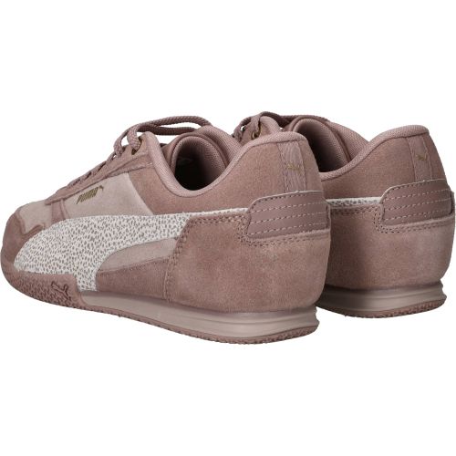 Durlinger Puma Bella Donna SD Topcat