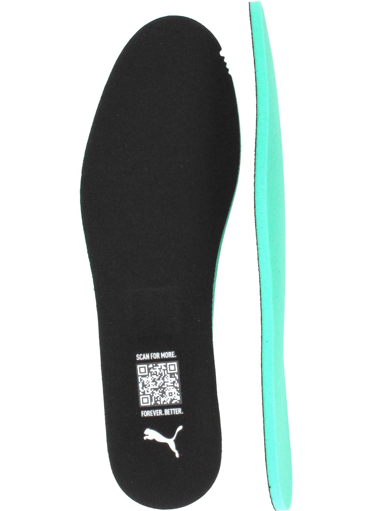 Durlinger Puma Club II Indoor