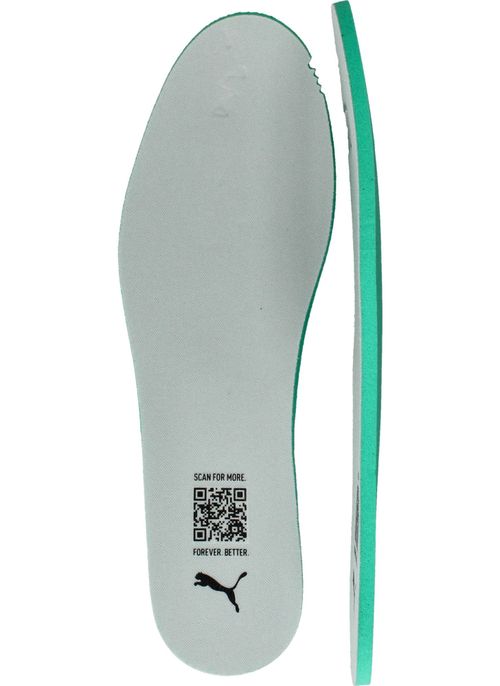 Durlinger Puma Club II Indoor