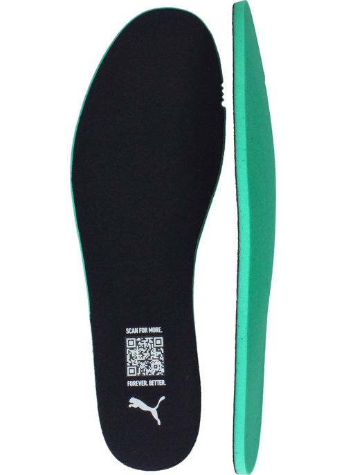 Durlinger Puma Milenio Tech