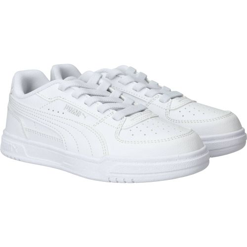 Durlinger Puma Caven III