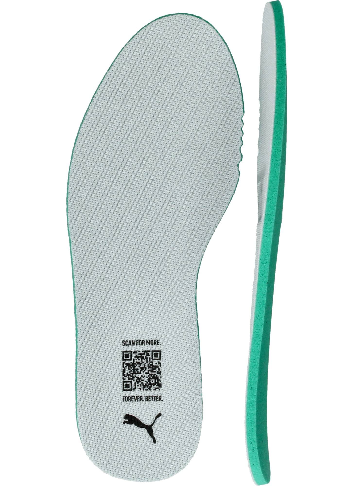 Durlinger Puma Caven III