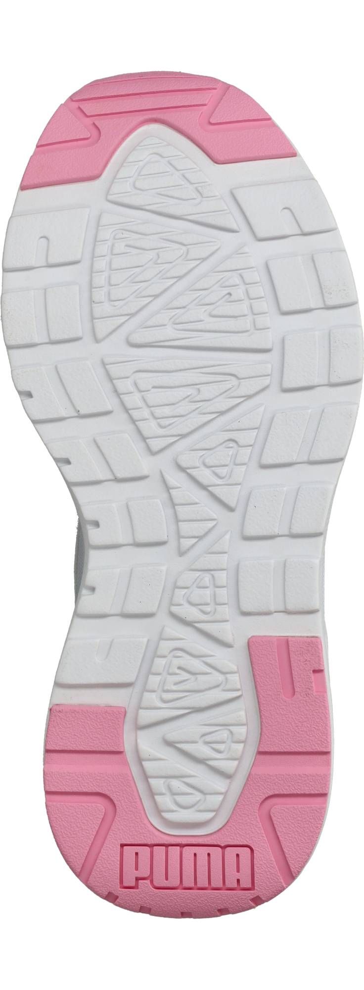 Durlinger Puma Trinity 2 LT Come On