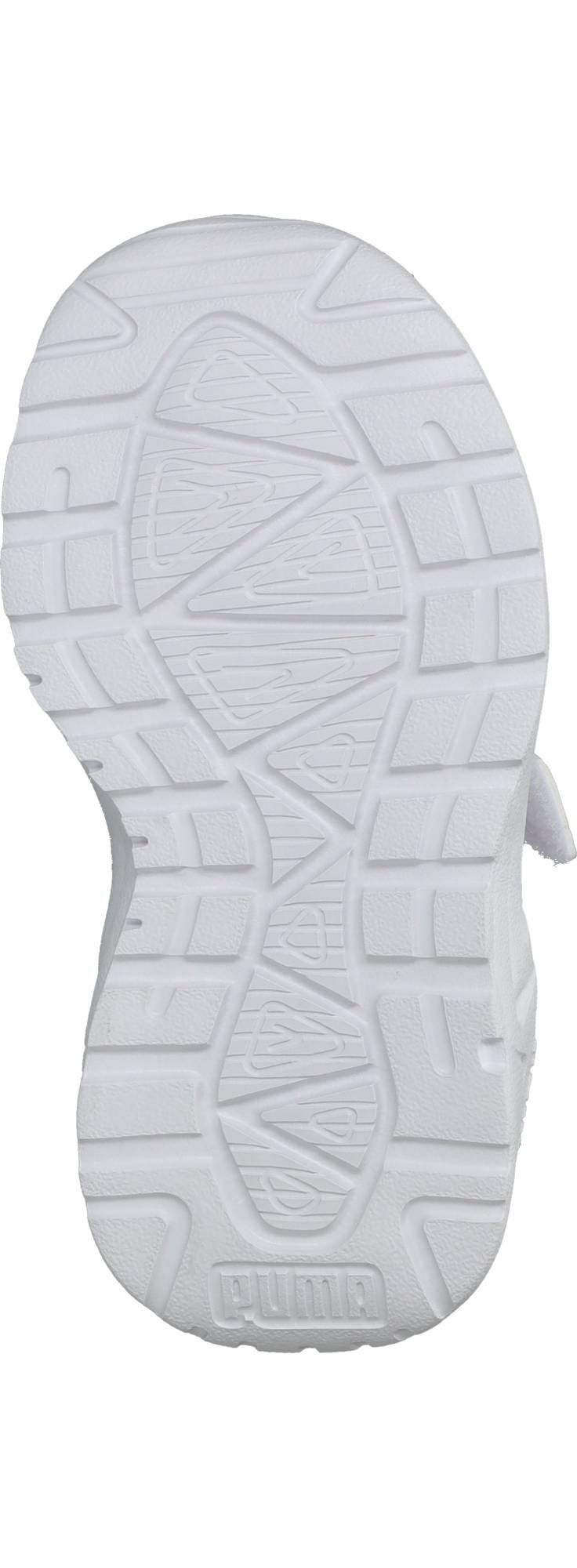 Durlinger Puma Trinity 2 LT Come On