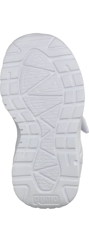 Durlinger Puma Trinity 2 LT Come On