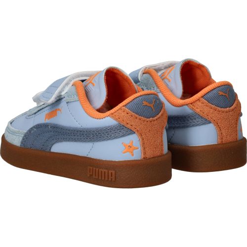 Durlinger Puma Club II Era Summer V