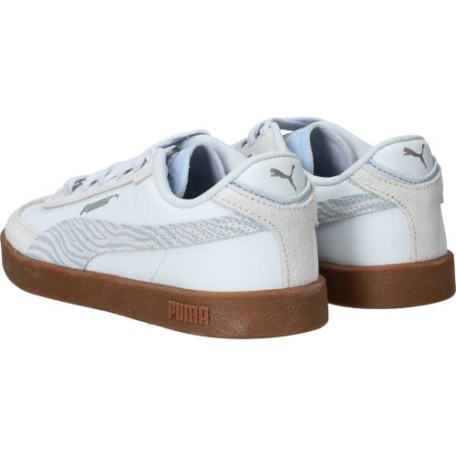 Durlinger Puma Club II Era Exploro