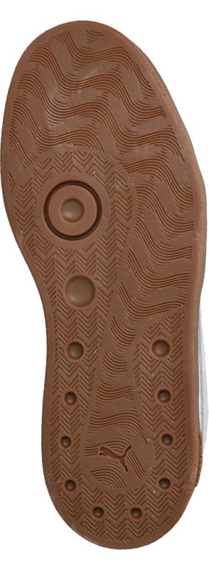 Durlinger Puma Club II Era Exploro