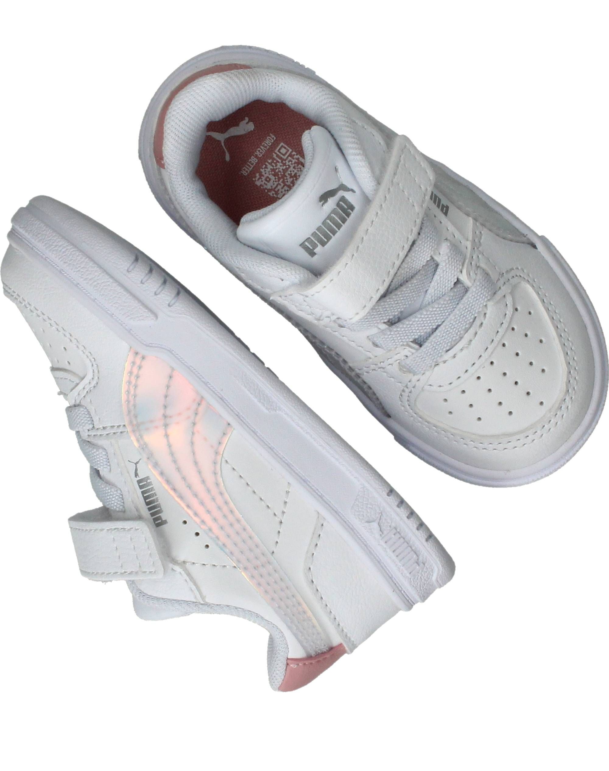 Durlinger Puma Caven III Holo 2.0