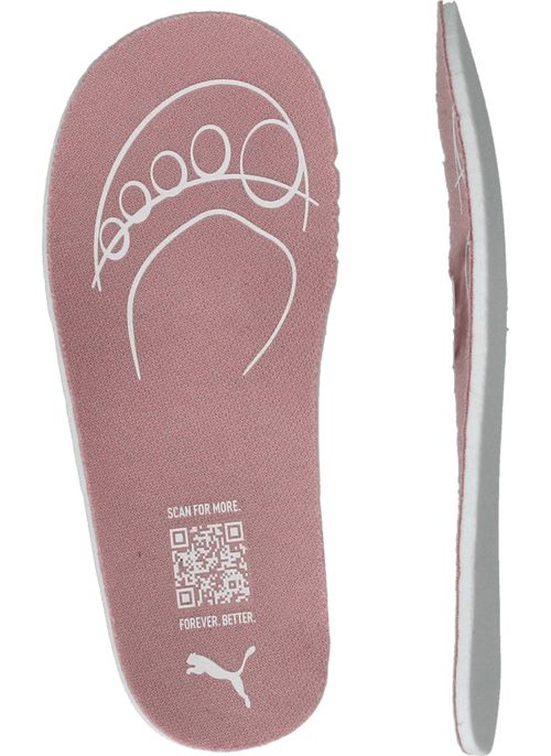 Durlinger Puma Caven III Holo 2.0