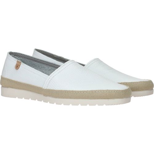 Durlinger Verbenas Noa