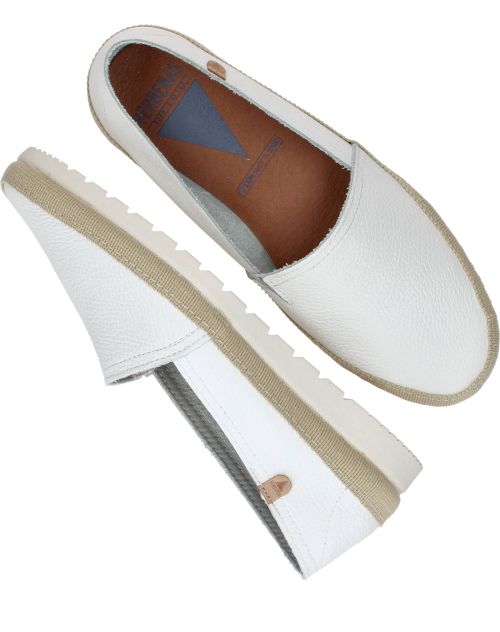 Durlinger Verbenas Noa