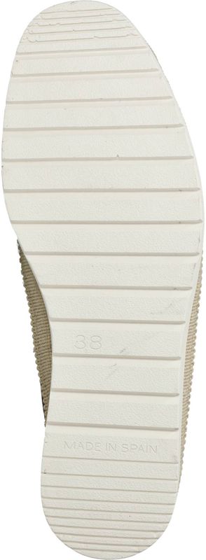 Durlinger Verbenas Noa