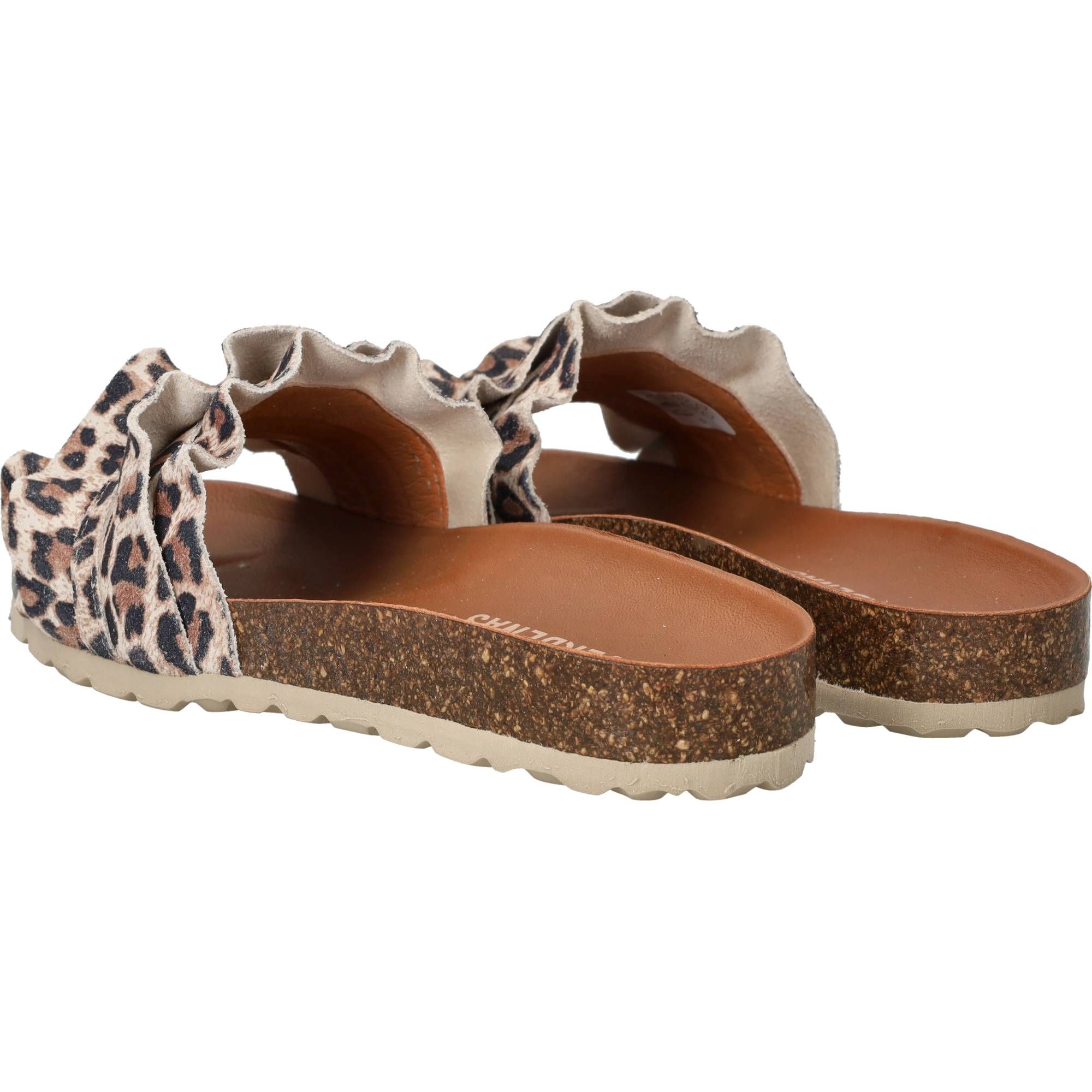 Durlinger Verbenas Rocia