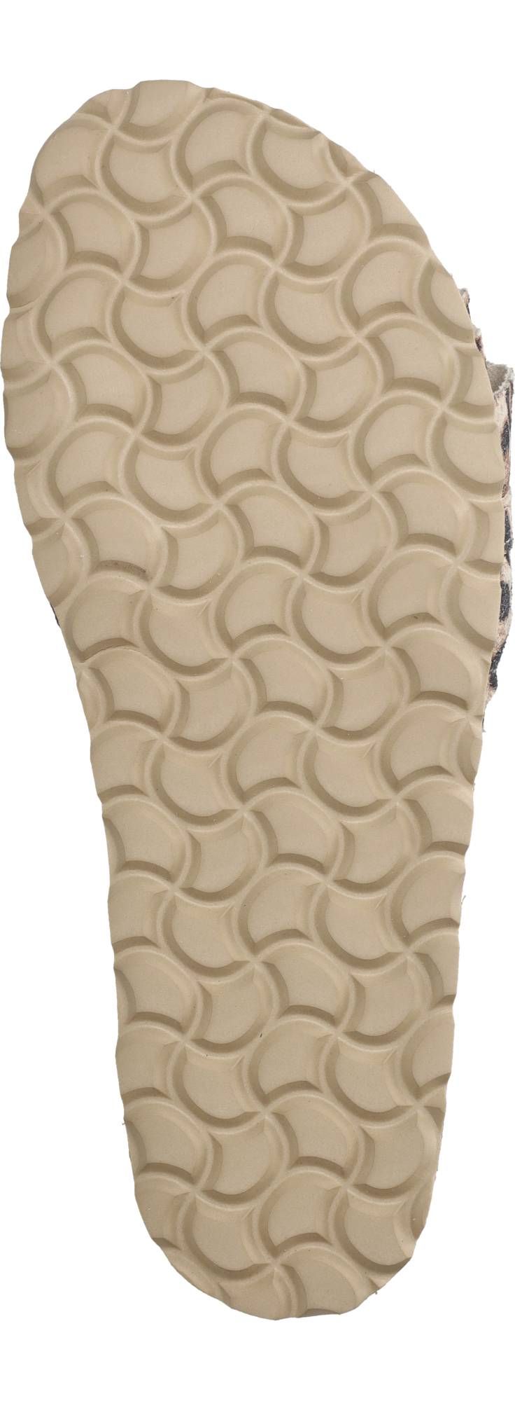 Durlinger Verbenas Rocia