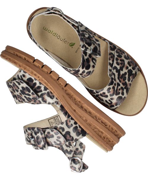 Durlinger Waldlaufer Arlene