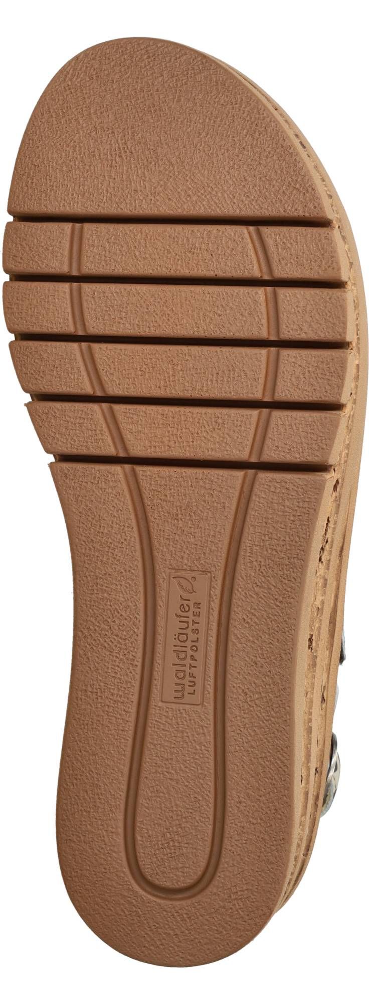 Durlinger Waldlaufer Arlene