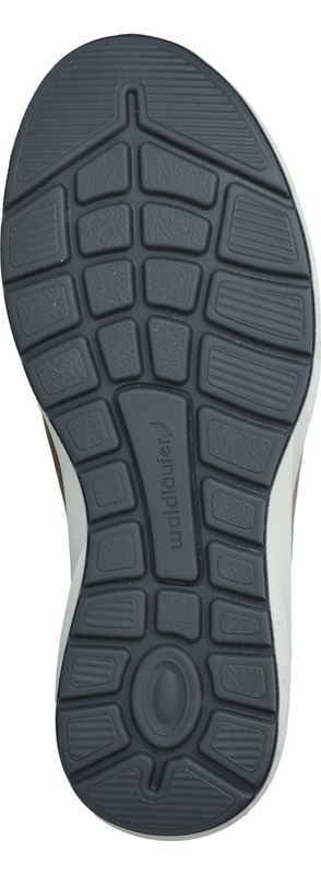 Durlinger Waldlaufer Tonia