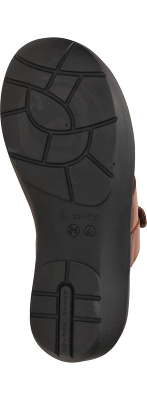 Durlinger Wolky Collins