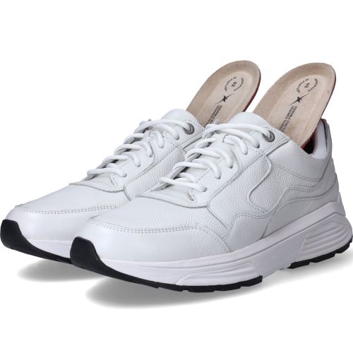 Durlinger Xsensible Golden Gate Stretchwalker