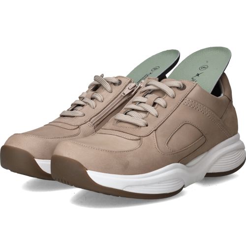 Durlinger Xsensible SWX23 Stretchwalker