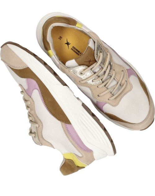 Durlinger Xsensible Rainbow Stretchwalker