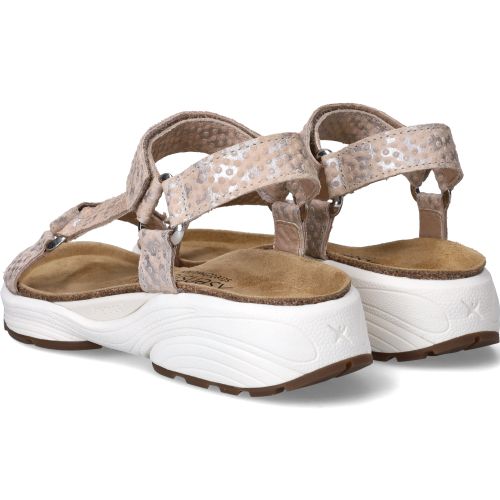 Durlinger Xsensible Passiflora Stretchwalker