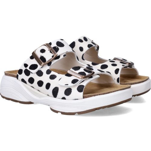 Durlinger Xsensible Lotus Stretchwalker