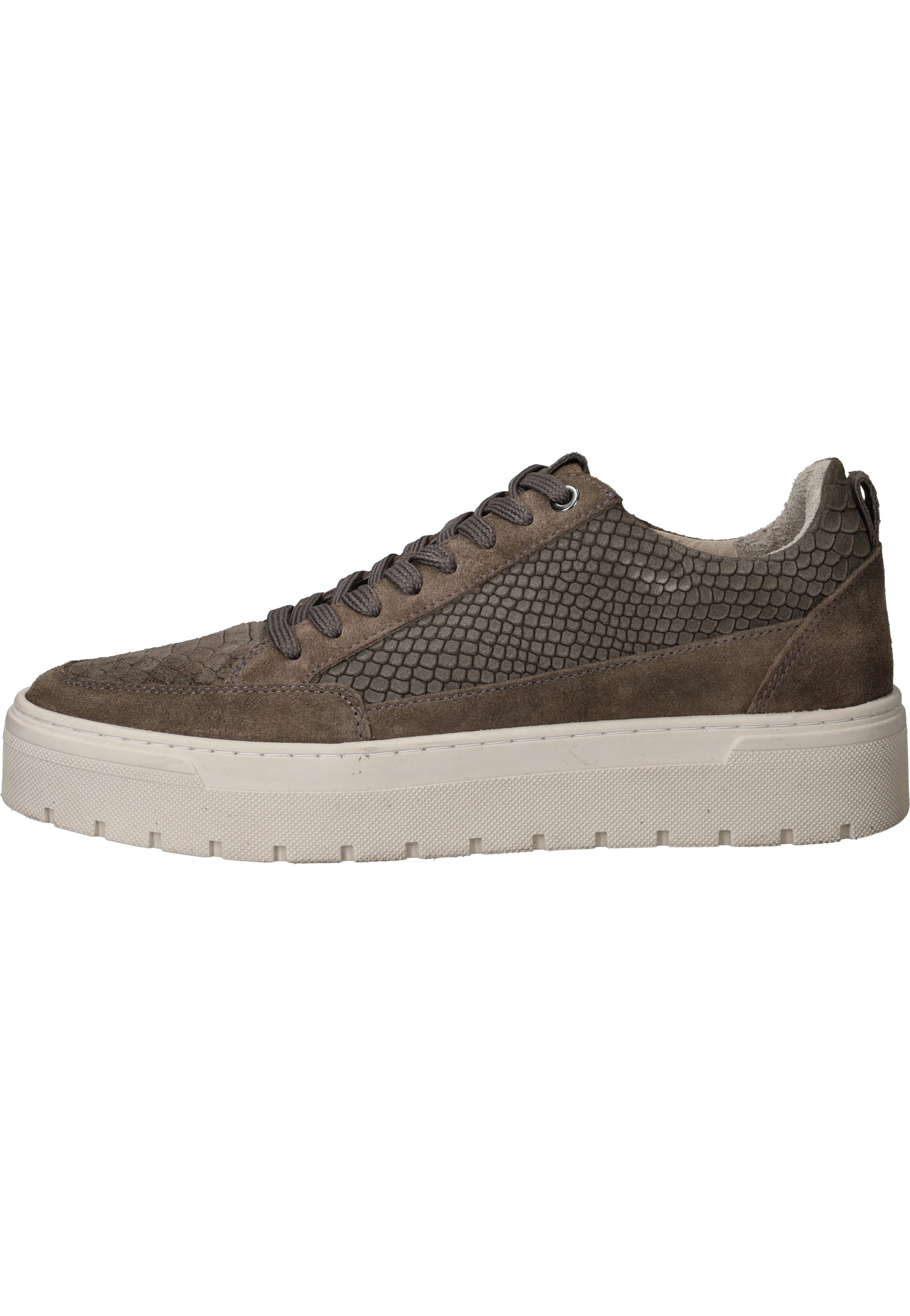 LOFF 1881 Sneakers Heren Taupe