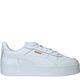 Puma Carina Street