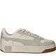 Puma Carina Street