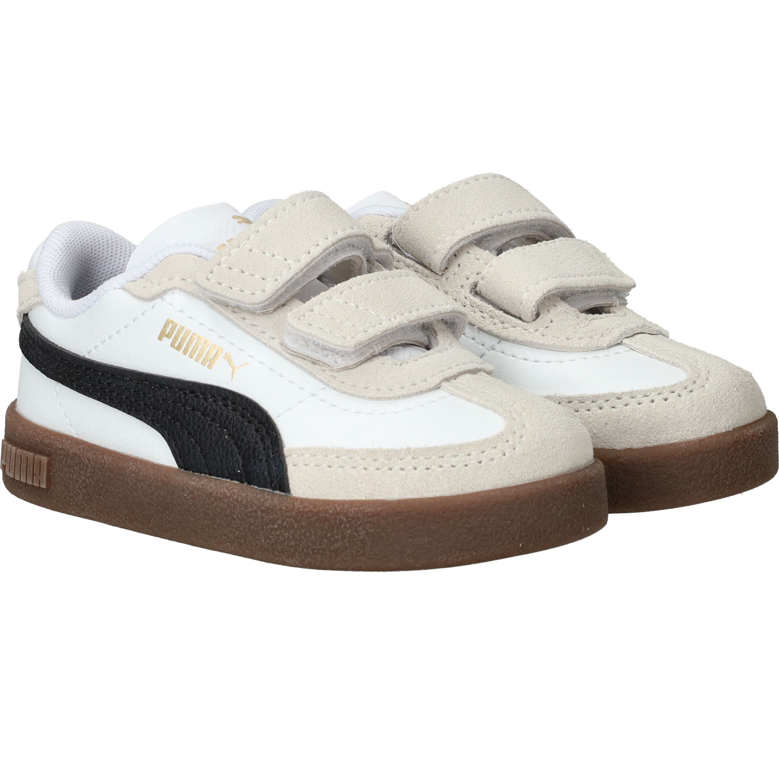 Durlinger Puma Club II Era V