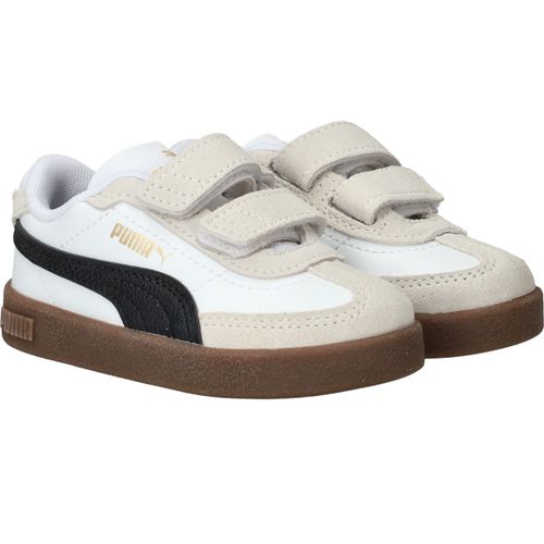Durlinger Puma Club II Era V