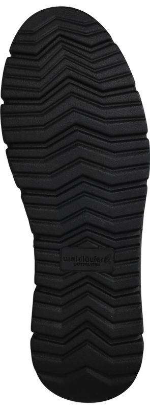 Durlinger Waldlaufer Pina