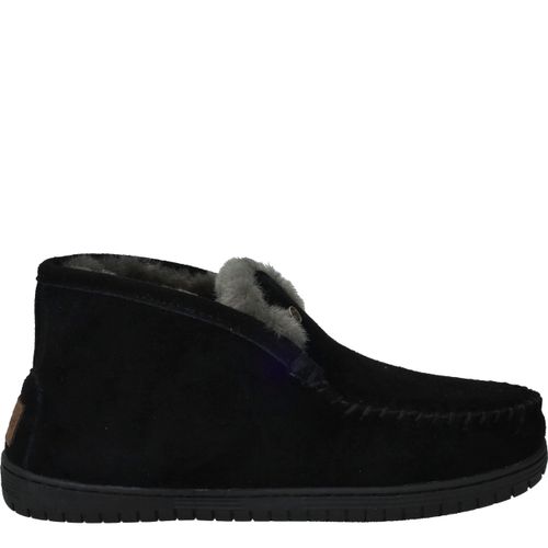 Warmbat Darwino