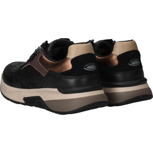Durlinger Gabor Rollingsoft