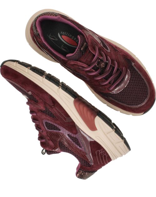 Durlinger Gabor Rollingsoft